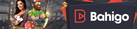 aller sur bahigo casino